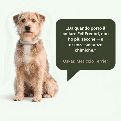 COLLARE ANTI-PUCLI E ZECCHE PER CANI