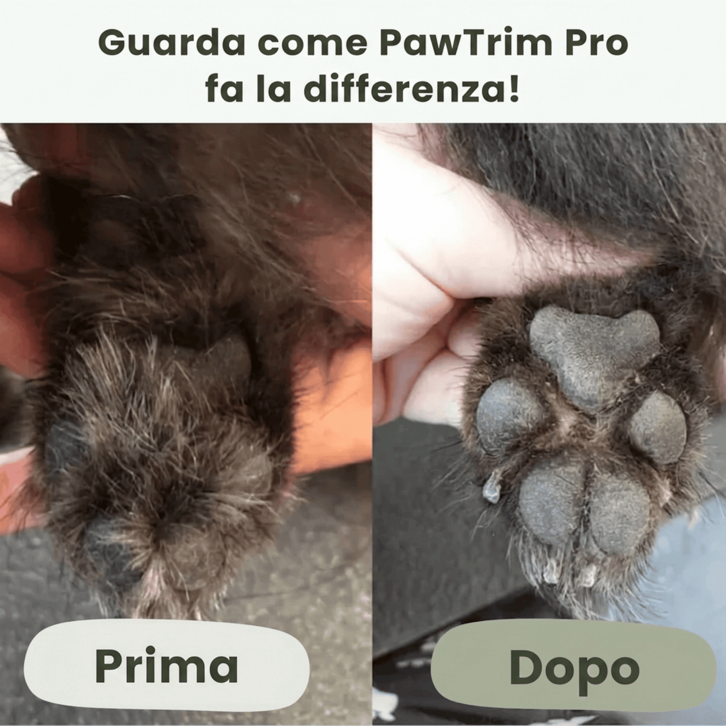 PawTrim Pro™ - Cura delle Zampe Indolore in Pochi Secondi