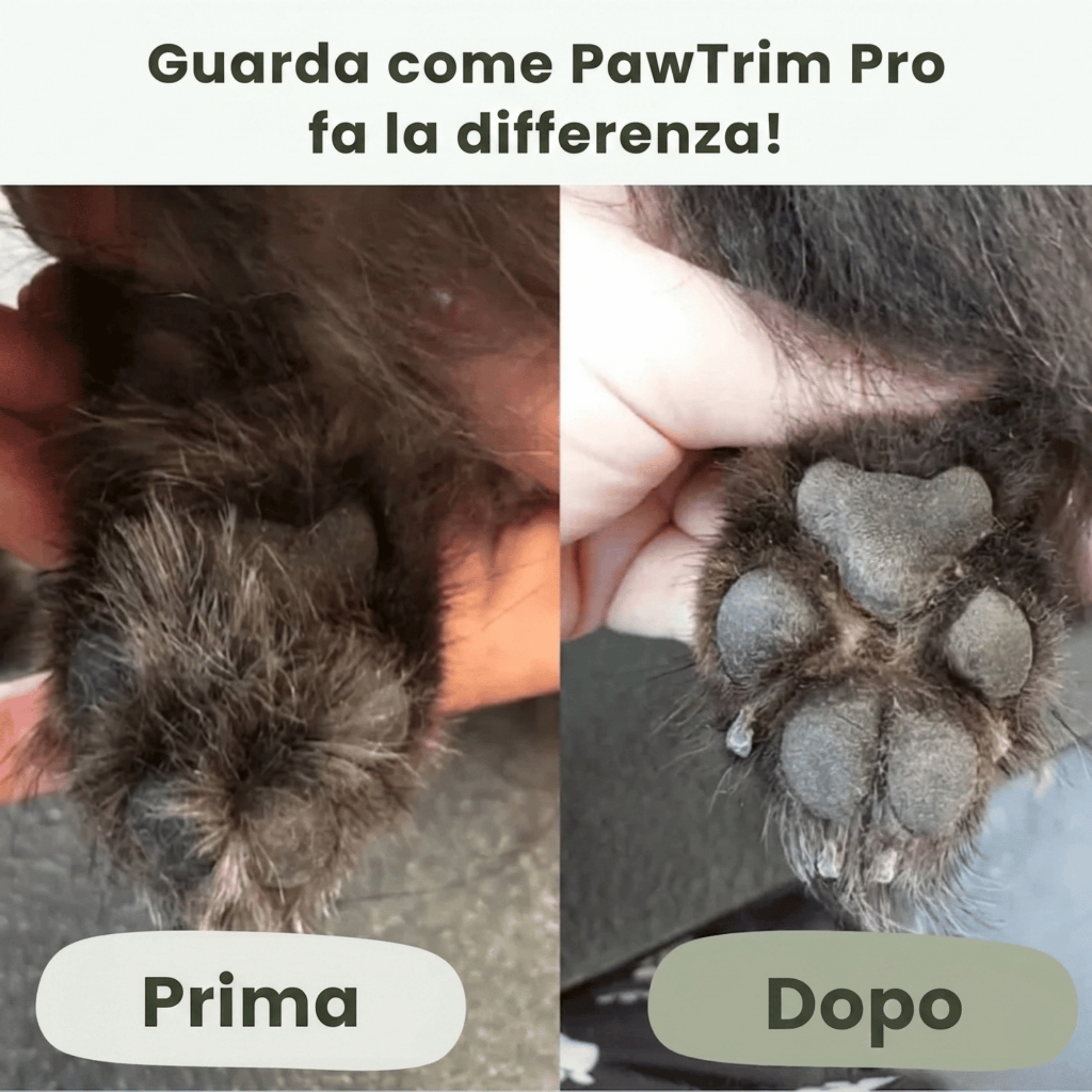PawTrim Pro™ - Cura delle Zampe Indolore in Pochi Secondi