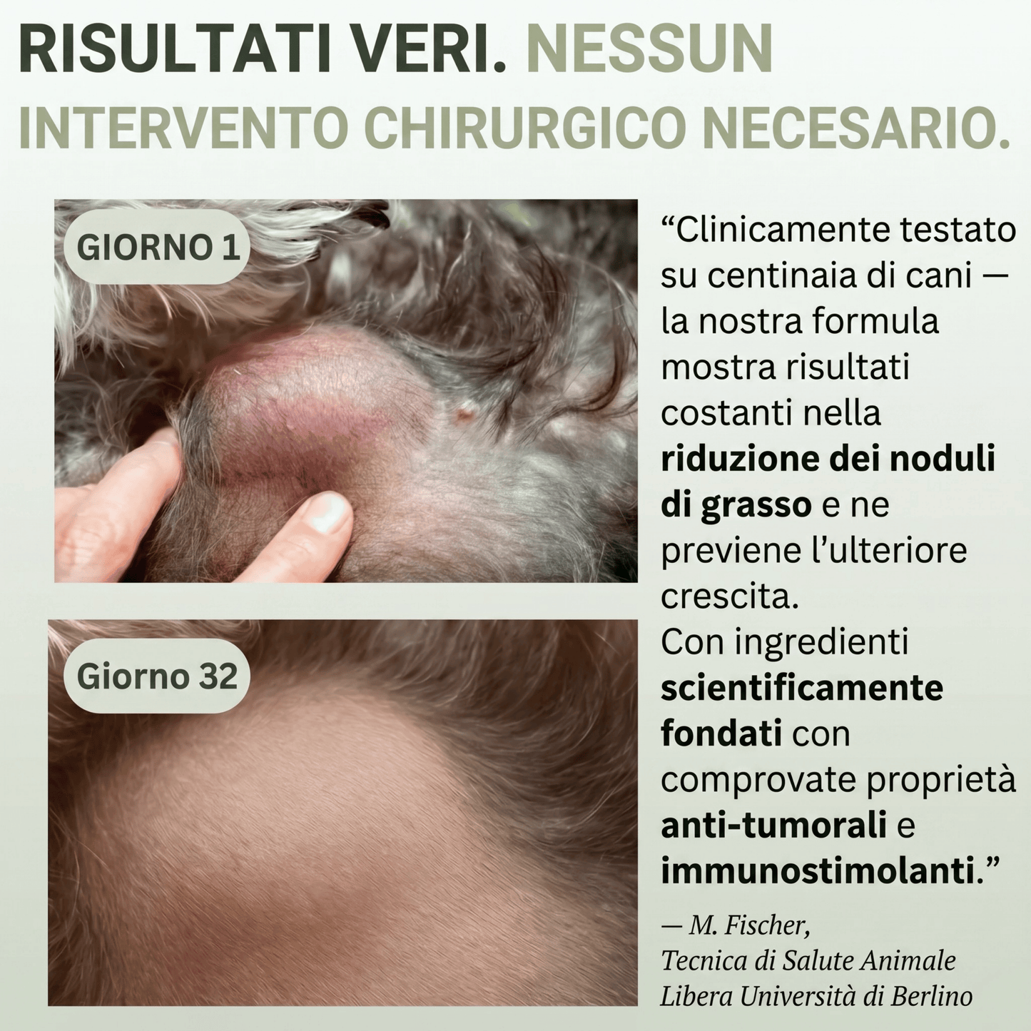 PeloVital: Coda di Tacchino + Probiotici