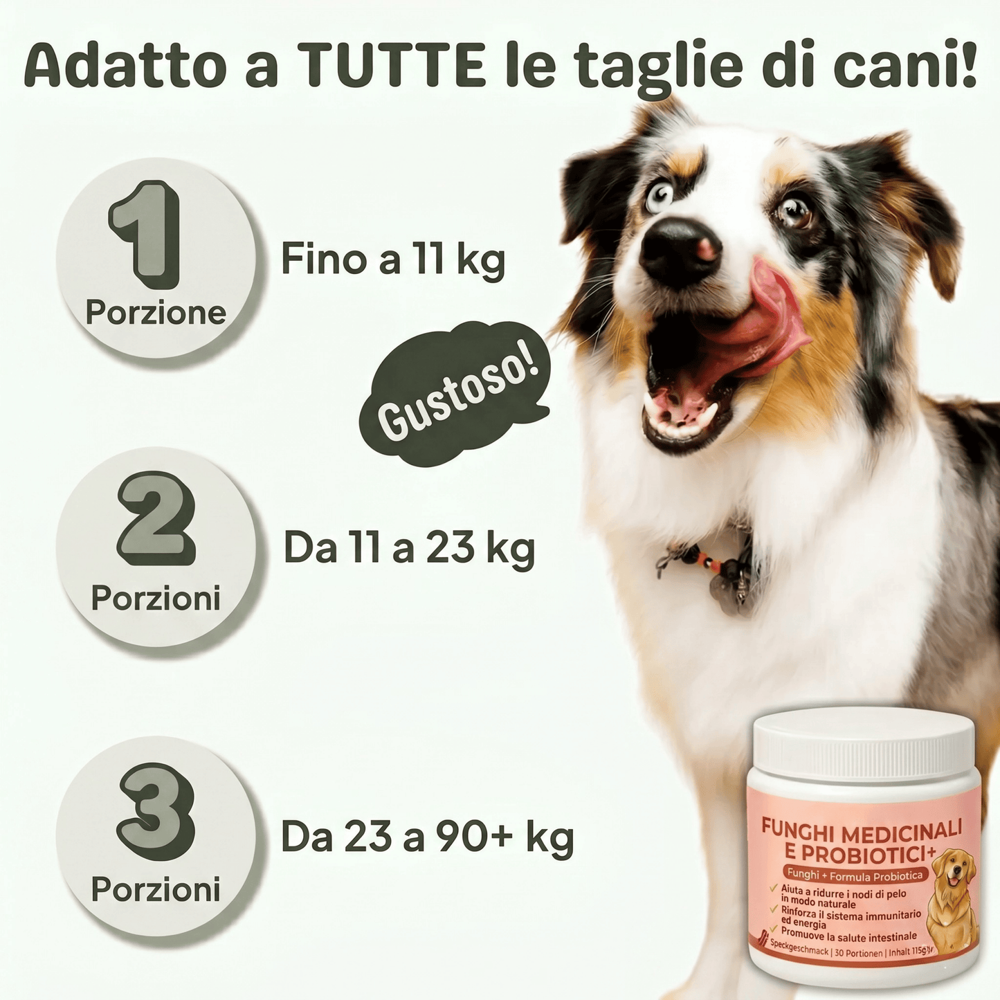 PeloVital: Coda di Tacchino + Probiotici