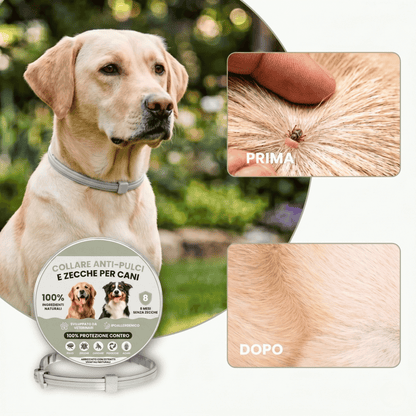 COLLARE ANTI-PUCLI E ZECCHE PER CANI
