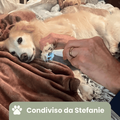 PawTrim Pro™ - Cura delle Zampe Indolore in Pochi Secondi