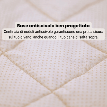 Salvadivano Soft