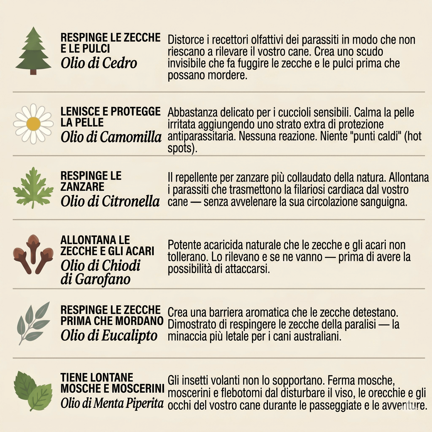 Ciondolo CasaPiuma™ - 12 mesi di protezione