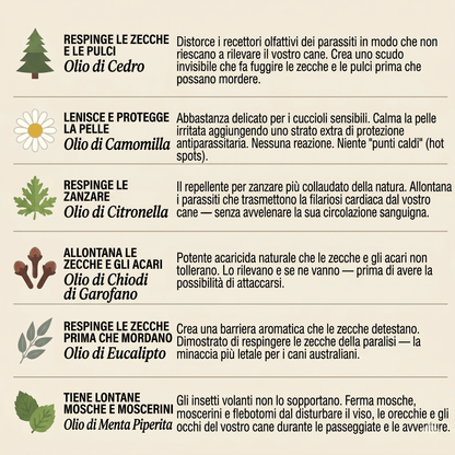 Ciondolo CasaPiuma™ - 12 mesi di protezione
