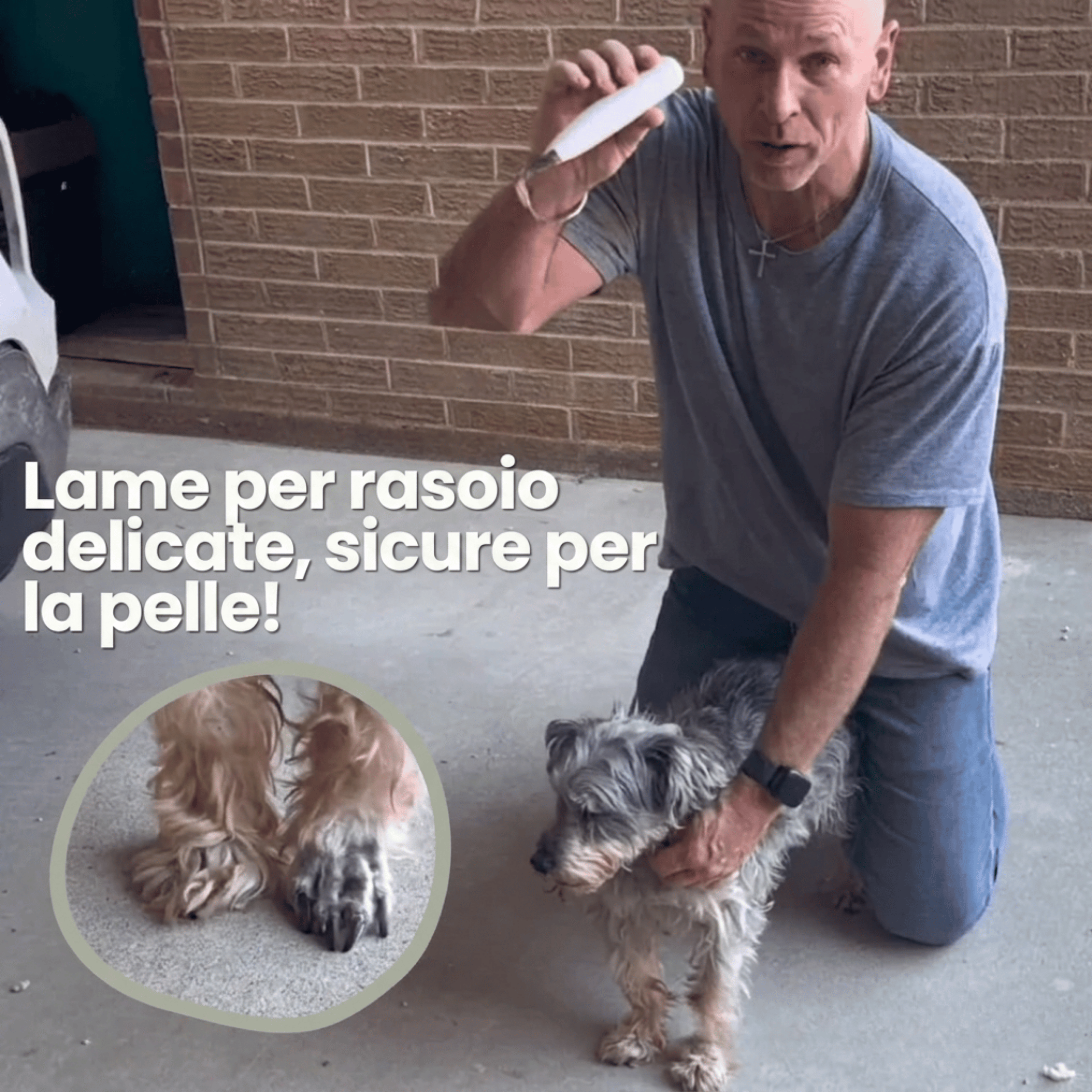 PawTrim Pro™ - Cura delle Zampe Indolore in Pochi Secondi