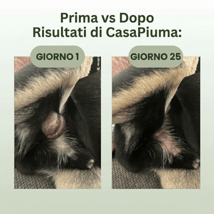 PeloVital: Coda di Tacchino + Probiotici