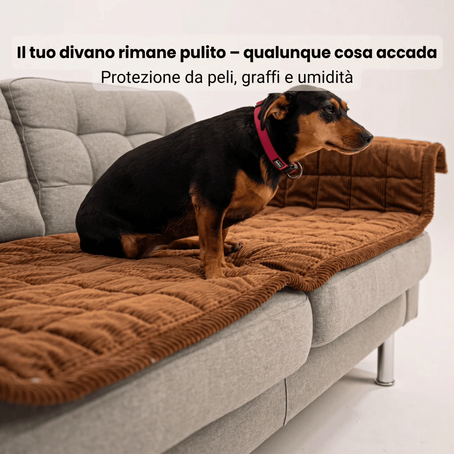 Salvadivano Soft
