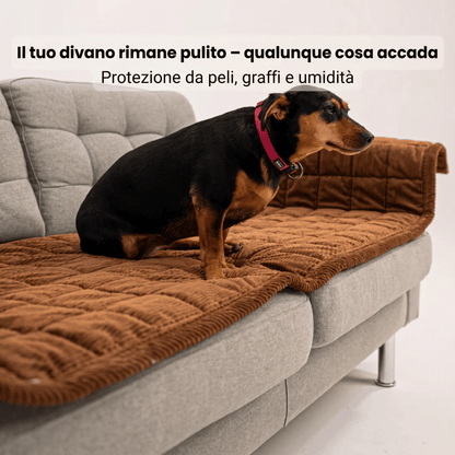 Salvadivano Soft