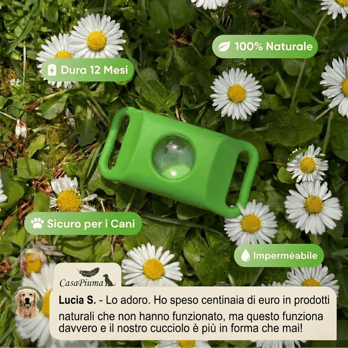Ciondolo CasaPiuma™ - 12 mesi di protezione