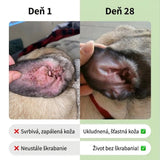 Deň 1 vs Deň 28