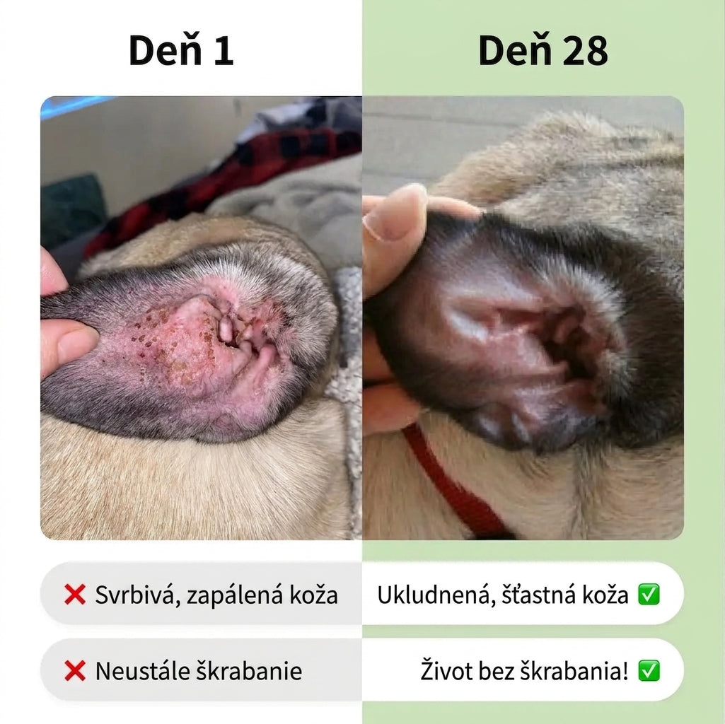 Deň 1 vs Deň 28