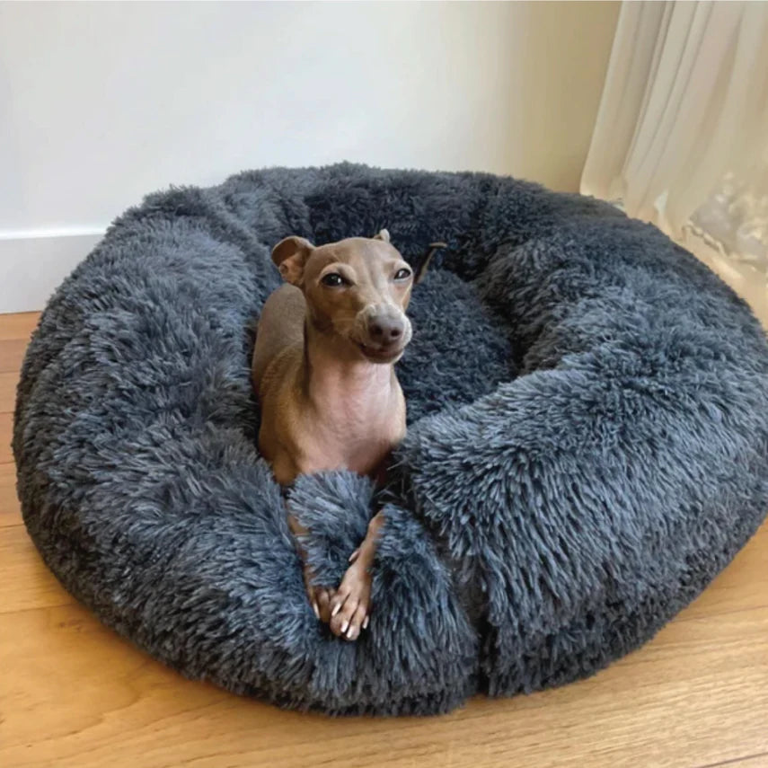 CUCCIA RILASSANTE PER CANI