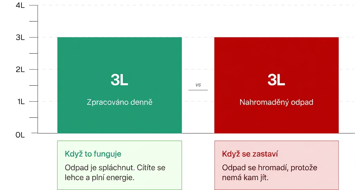 3 litry denně