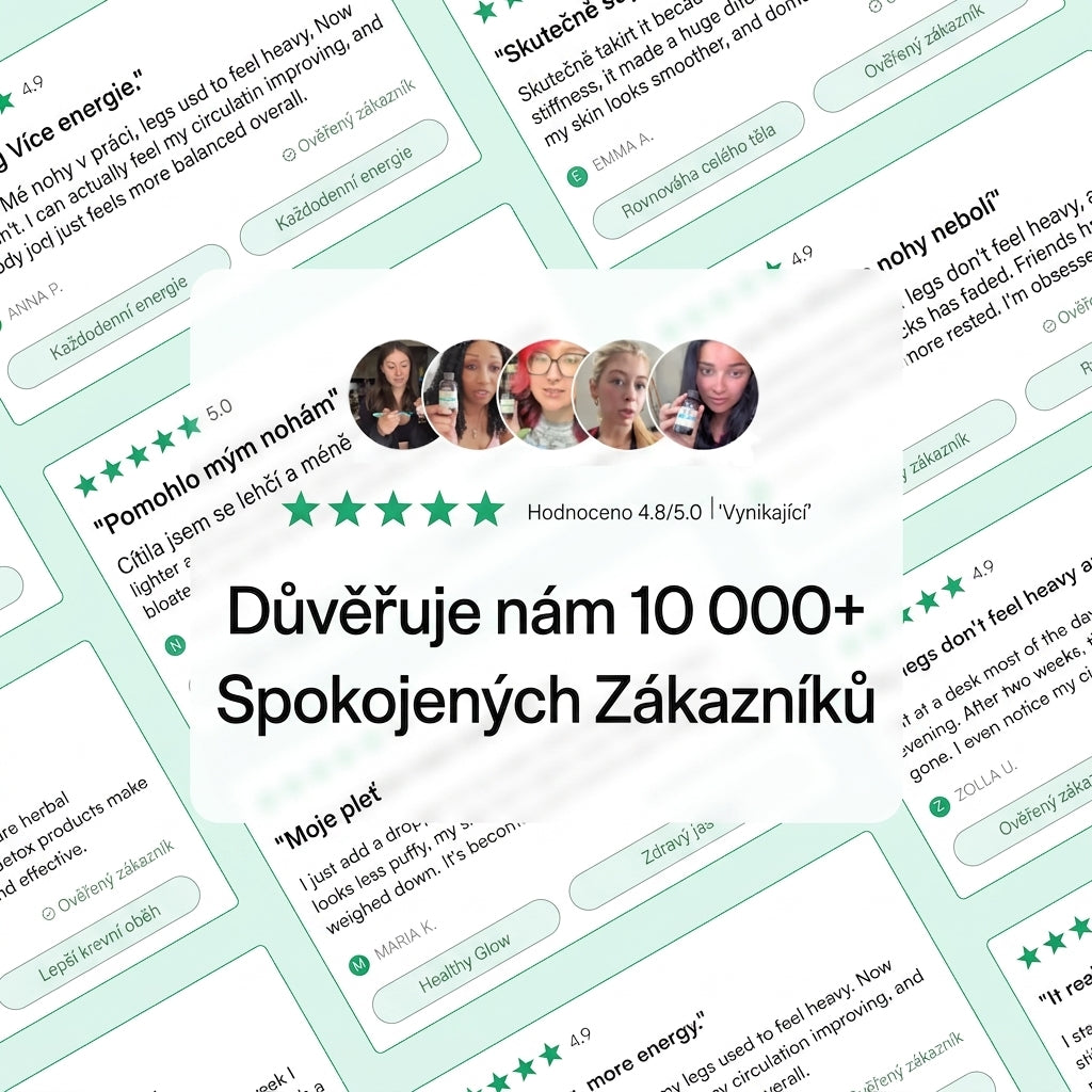 Důvěřuje nám 10 000+ zákazníků