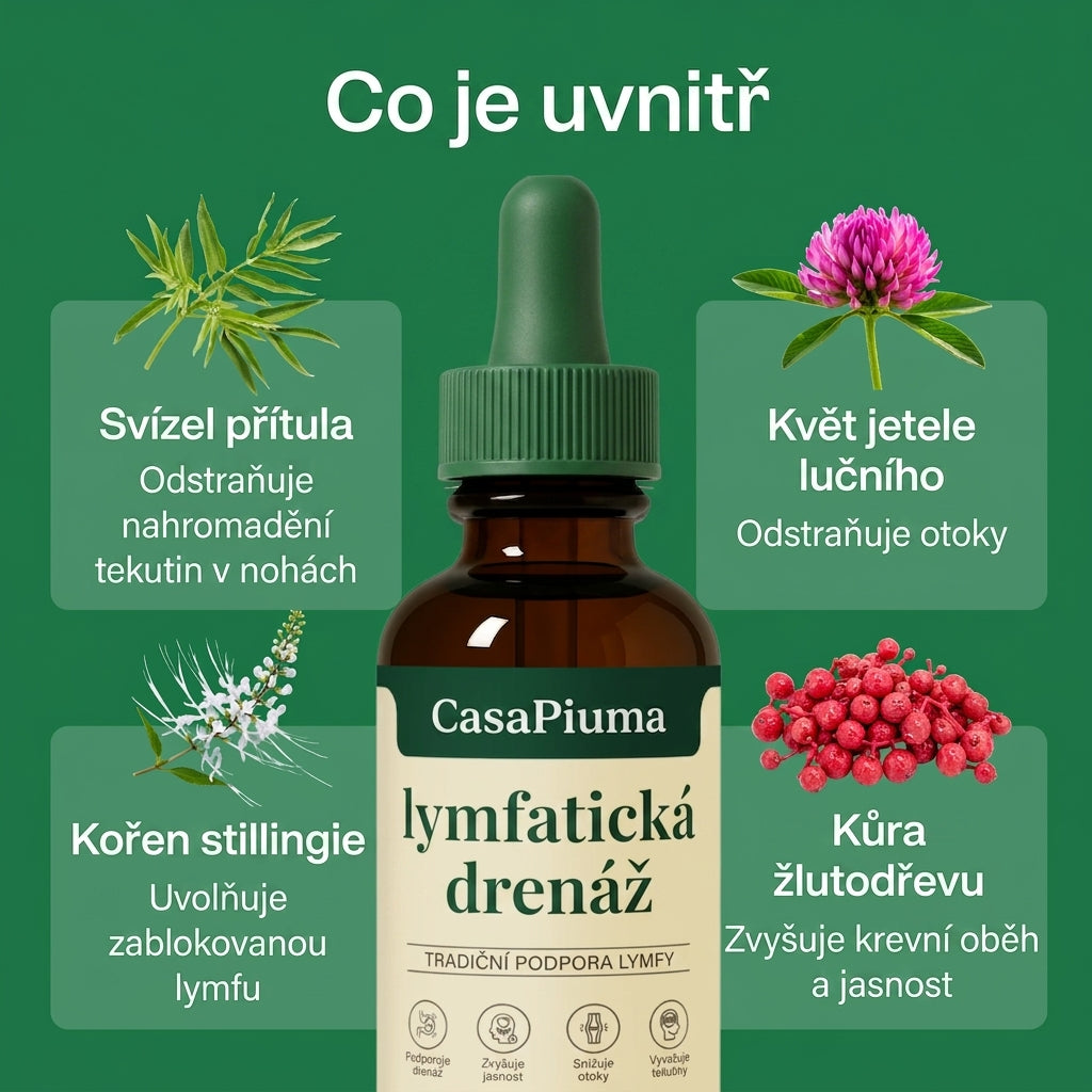 Co je uvnitř