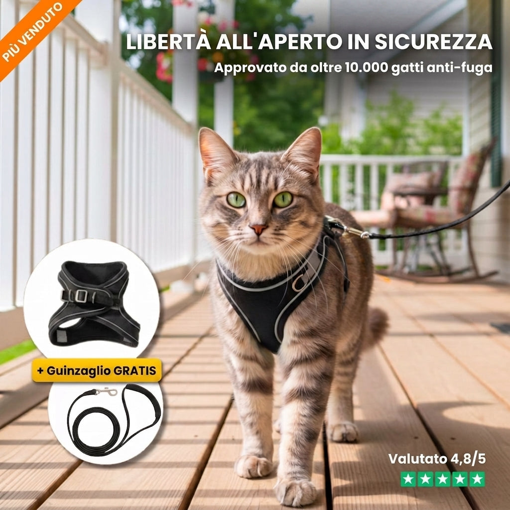 Pettorina anti-fuga per gatto — libertà all'aperto in sicurezza