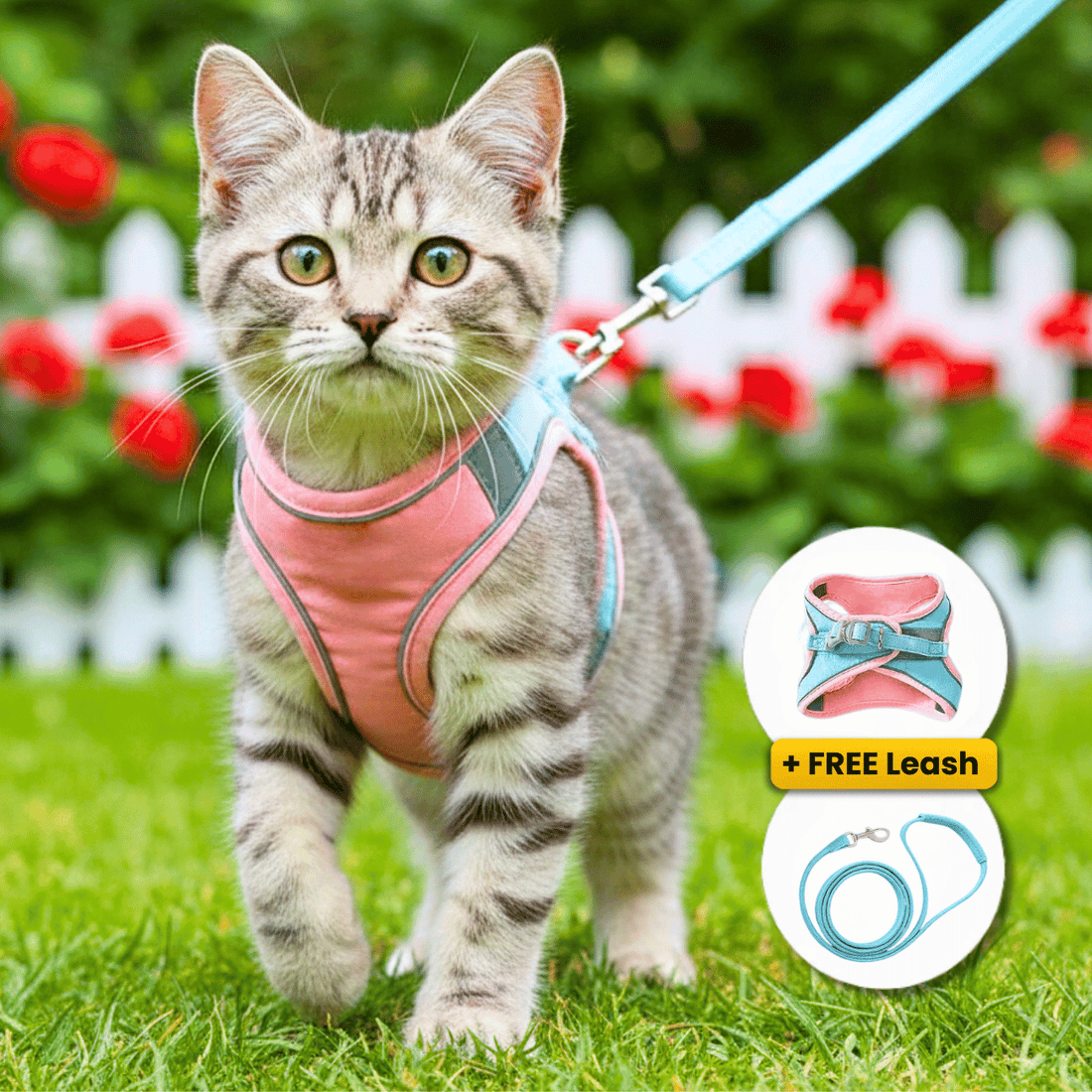 Gatto con pettorina rosa nel prato